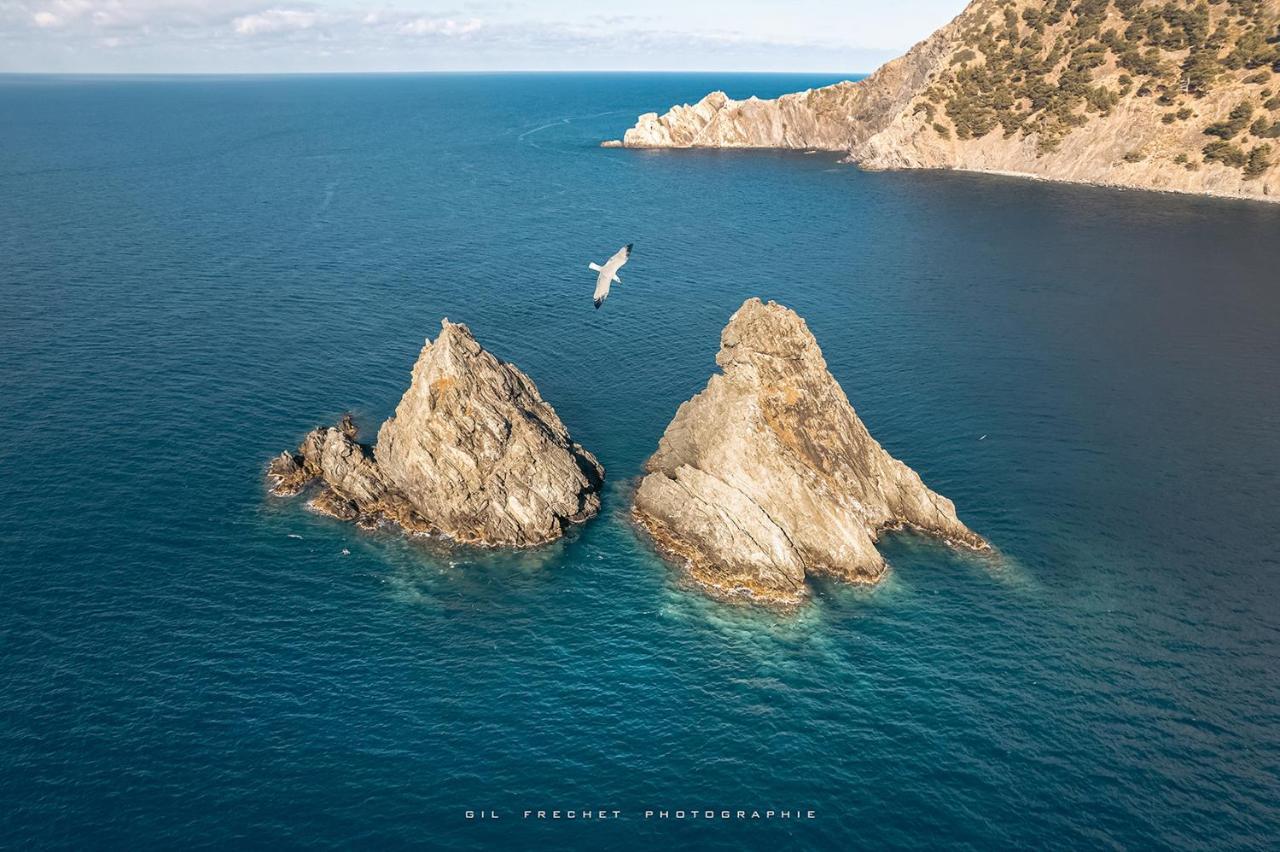 Le Soleil Residence La Fontaine Les Sablettes Plage La Seyne-sur-Mer Dış mekan fotoğraf